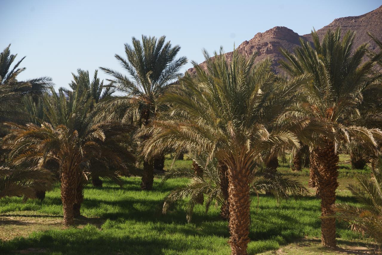 Riad Les Jardins De Tafraoute Foum Mharech Exterior foto